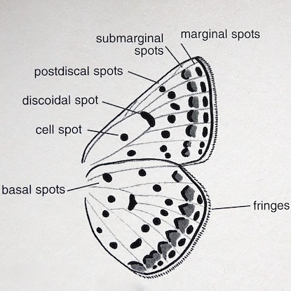 structure 2